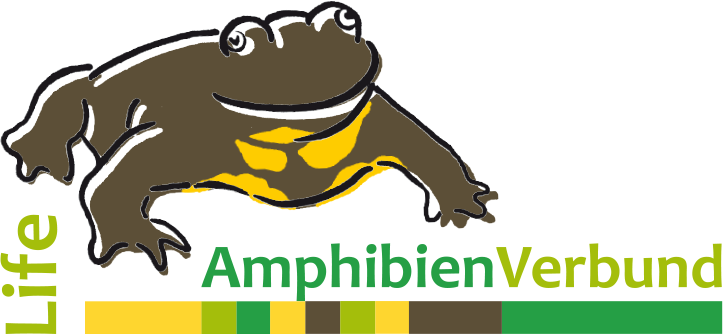 Logo LIFE AmphibienVerbund