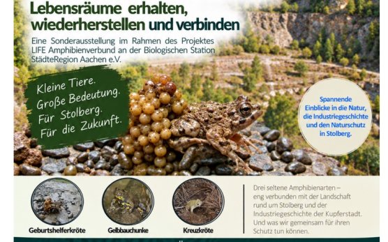 teaser-bild